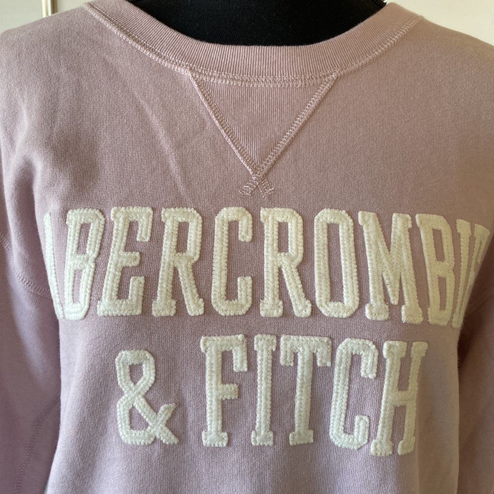 ❤️SOLD❤️ NWT Abercrombie & Fitch Womens Sweatshirt Pullover Beige/Tan Medium - Picture 3 of 10